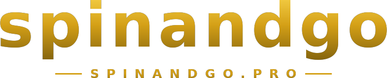 spinandgo logo
